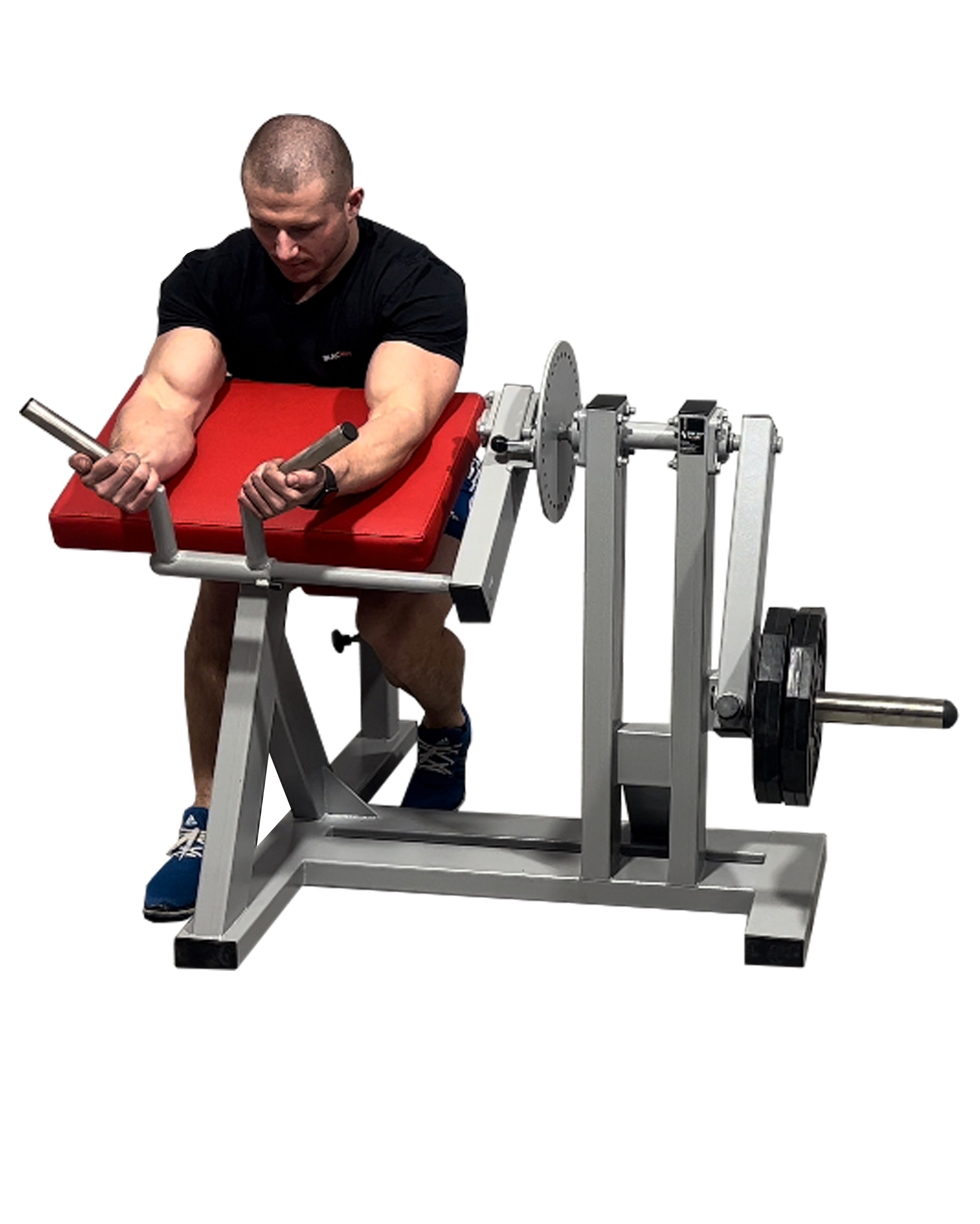 Biceps Triceps Machine -  - Professional Gym Equipment