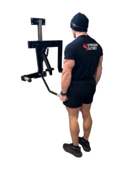 When is gym equipment back in stock deals