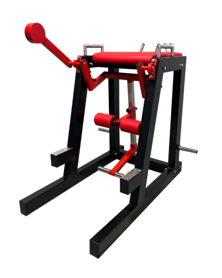 Reverse-Hyperextension-Machine