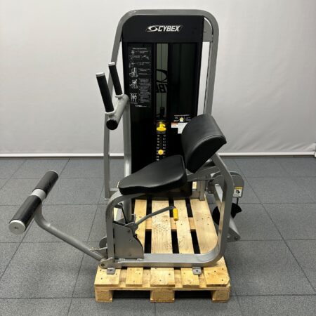 Cybex-Eagle-Abdominal