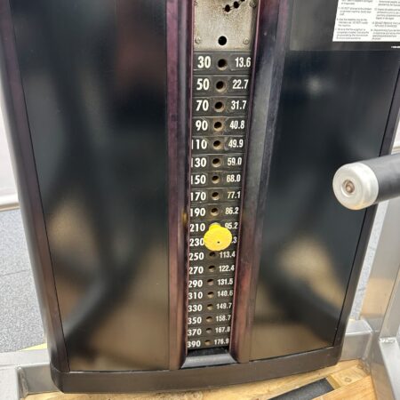 Cybex-Eagle-Calf-Raise