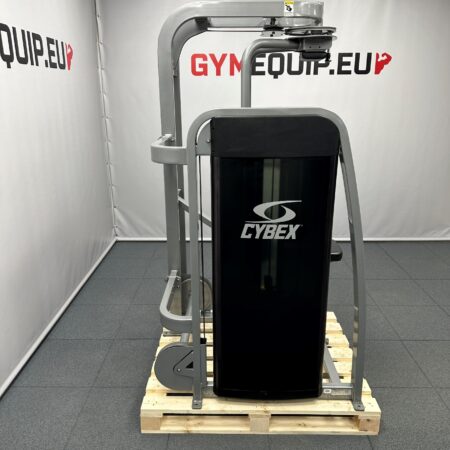 cybex-eagle-torso-rotation-1