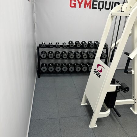 Cybex-VR2-Dual-Axis-Row-Rear-Delt
