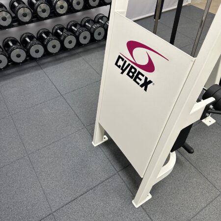 Cybex-VR2-Dual-Axis-Row-Rear-Delt