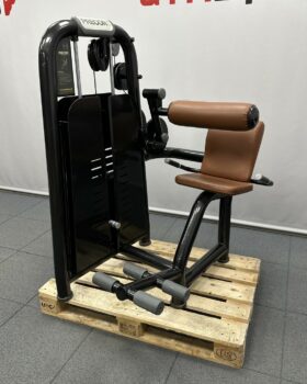 Precor-Lower-Back
