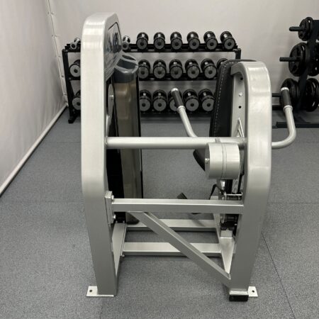 Nautilus-Nitro-Plus-Seated-Dip