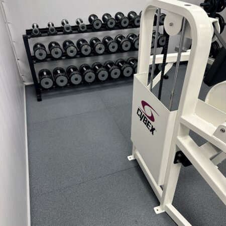 cybex-vr2-arm-extension-2