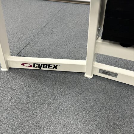 cybex-vr2-arm-extension-2