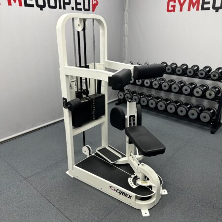 cybex-vr2-torso-rotation