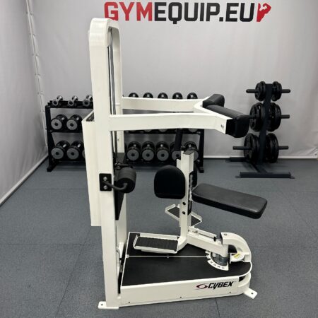 cybex-vr2-torso-rotation