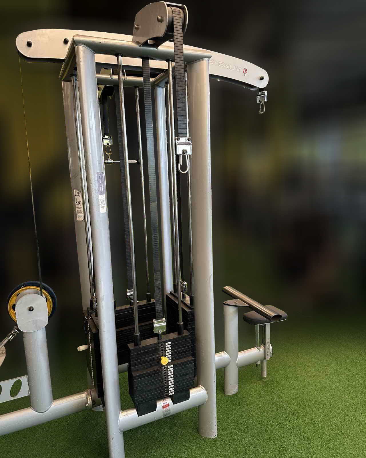 GYM80 Sygnum 4 Stack Cable Station...2 GYM80 Sygnum 4 Stack Cable Station.._