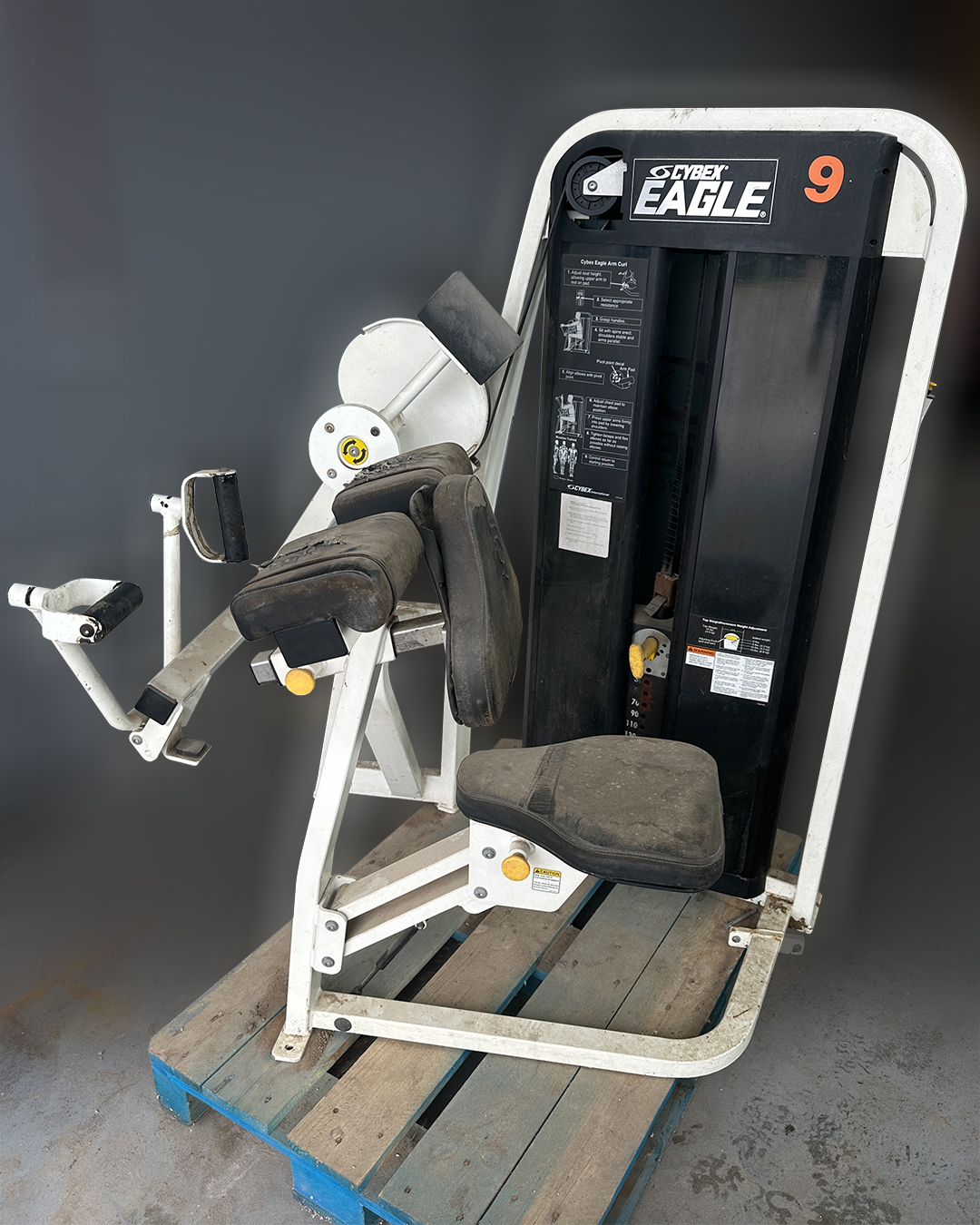 Cybex EAGLE Arm Curl Cybex EAGLE Arm Curl