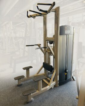 Life Fitness Signature Assisted Dip Chin