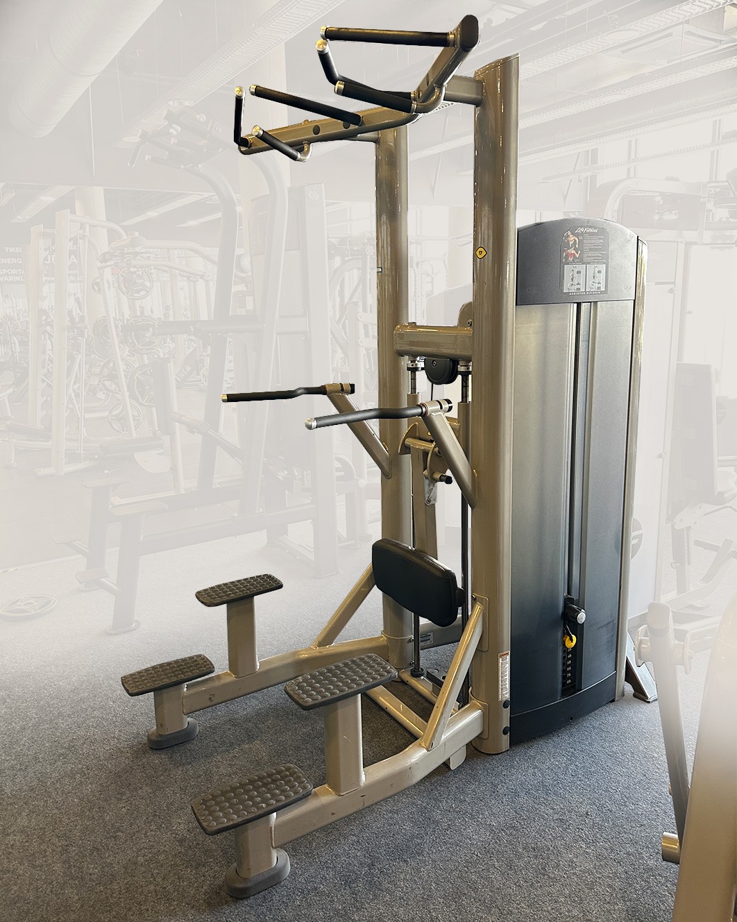Life Fitness Signature Assisted Dip Chin Life Fitness Signature Assisted Dip Chin